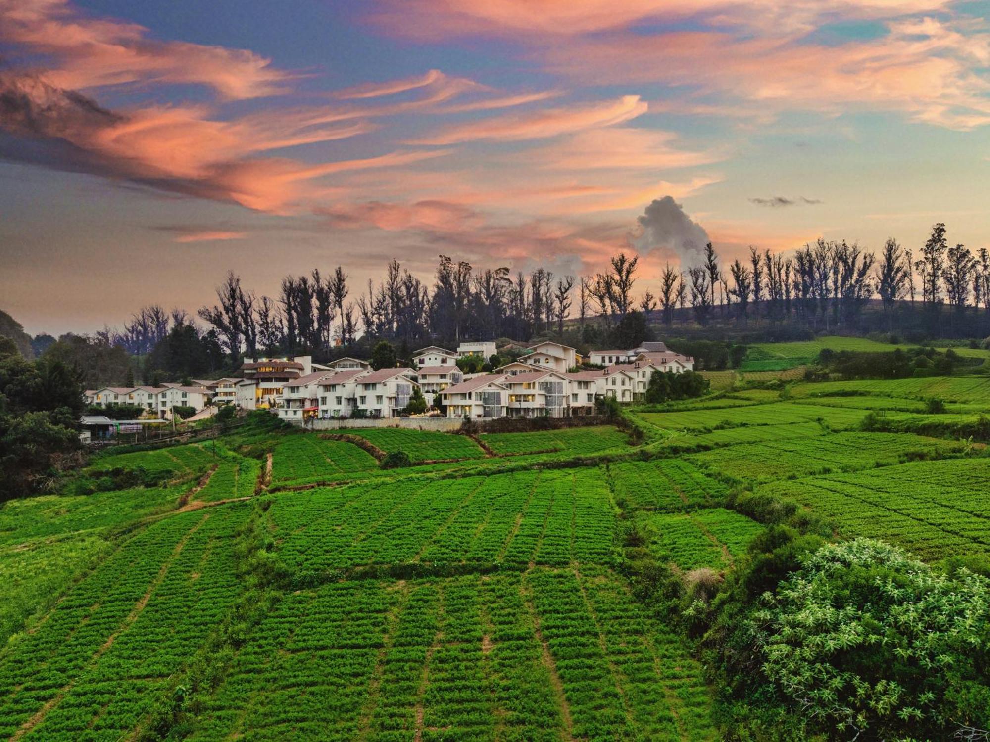 Mango Hill Shola Ooty Hotel Bagian luar foto